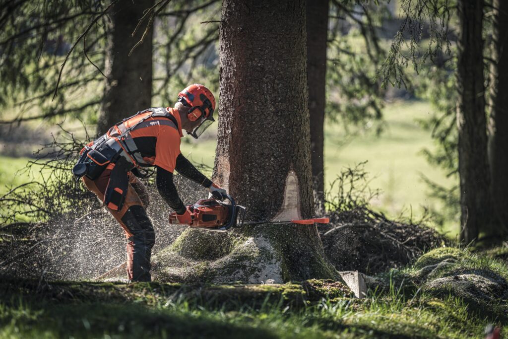 Baum fällen,